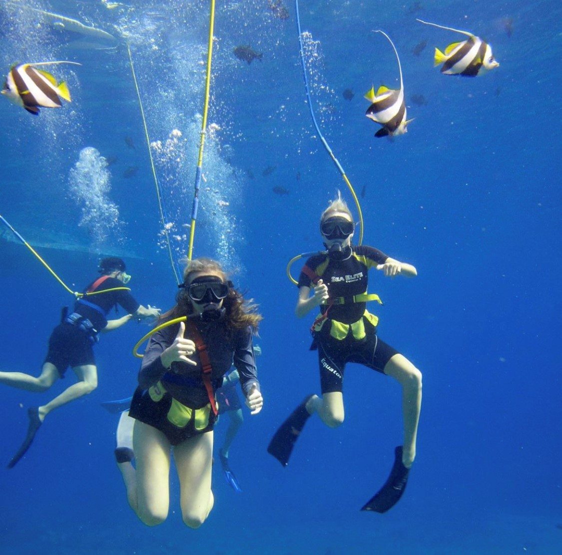 SNUBA Maui Magic Snorkel Molokini Snorkel Boat Whale Watching