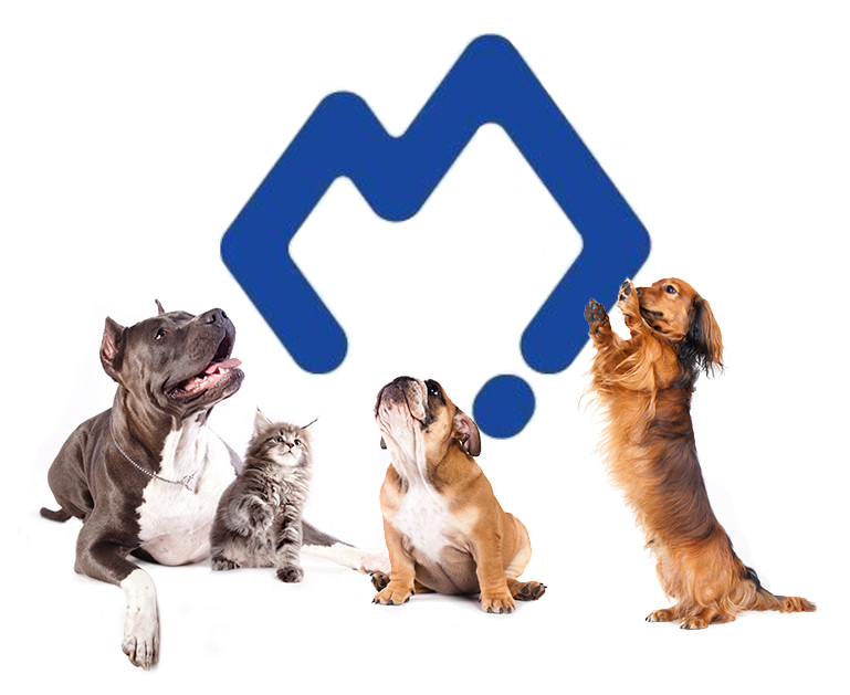 What Does Vitamin K Do For A Dog