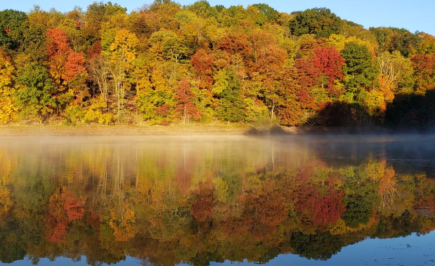 Fall 2020 Newsletter Municipal Authority of Westmoreland County