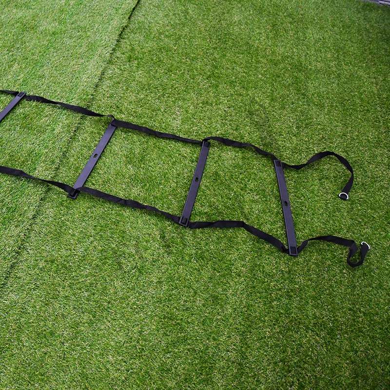 Speed Ladder maxecho