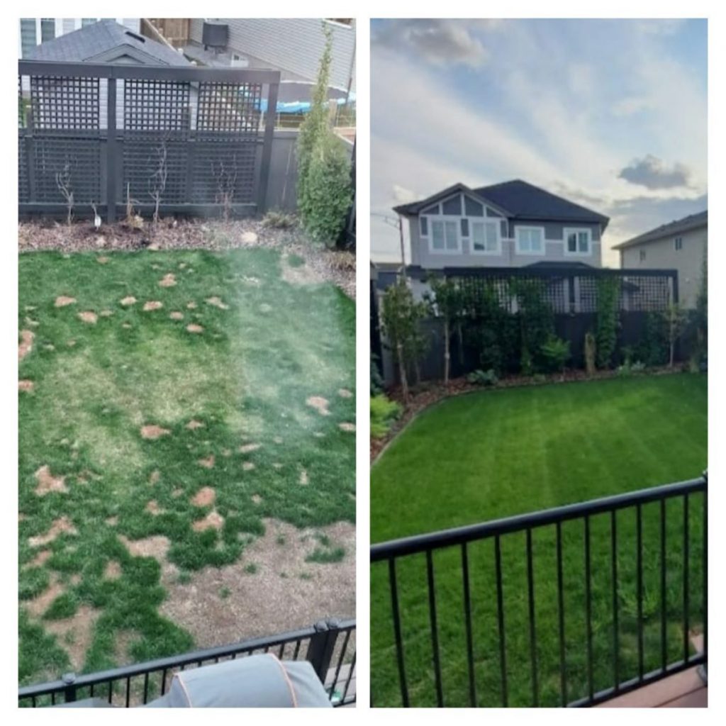 Repairing Weak Spots Maxigreen