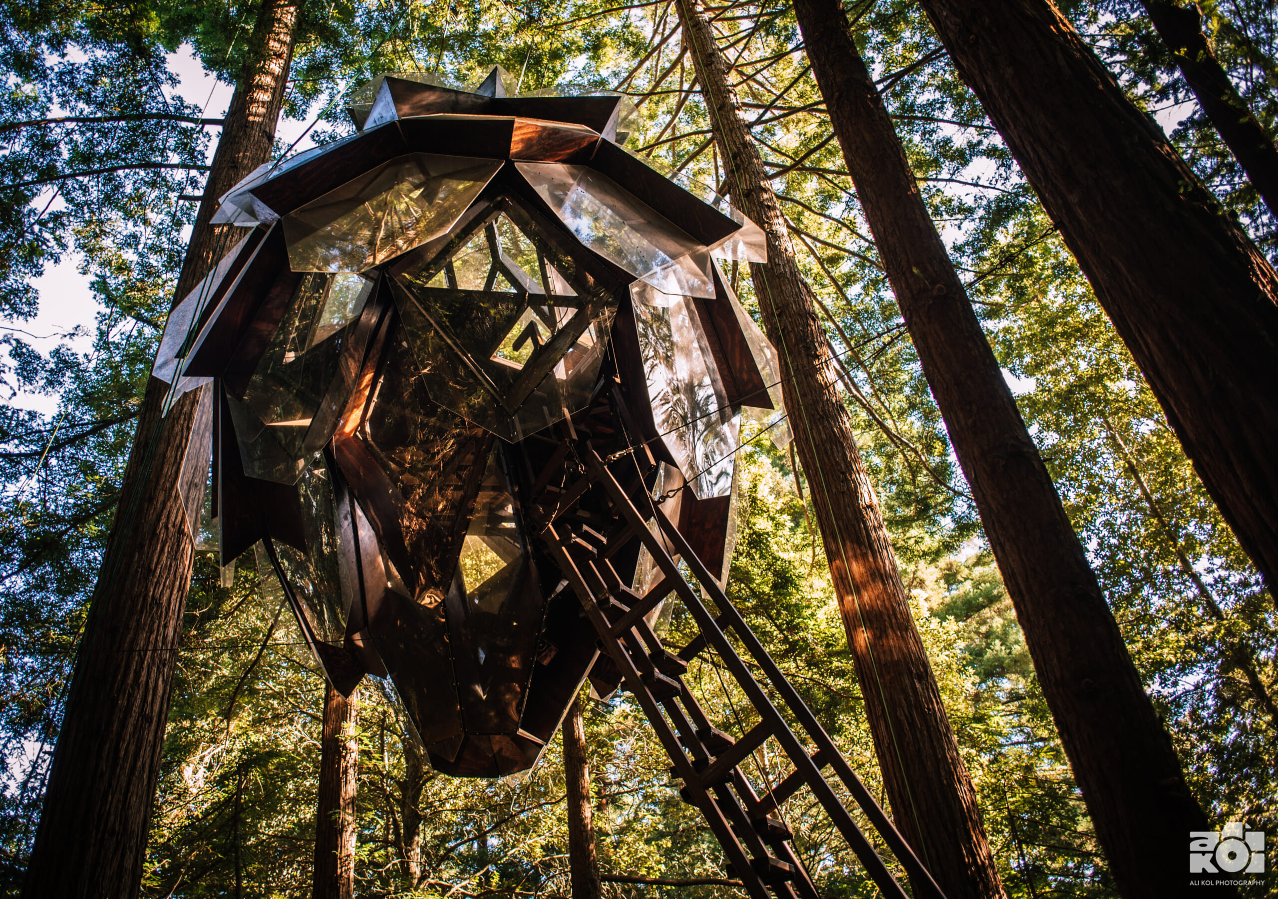 'The Pinecone Treehouse' Is A Wild Hidden Hideaway You Can Buy or Rent