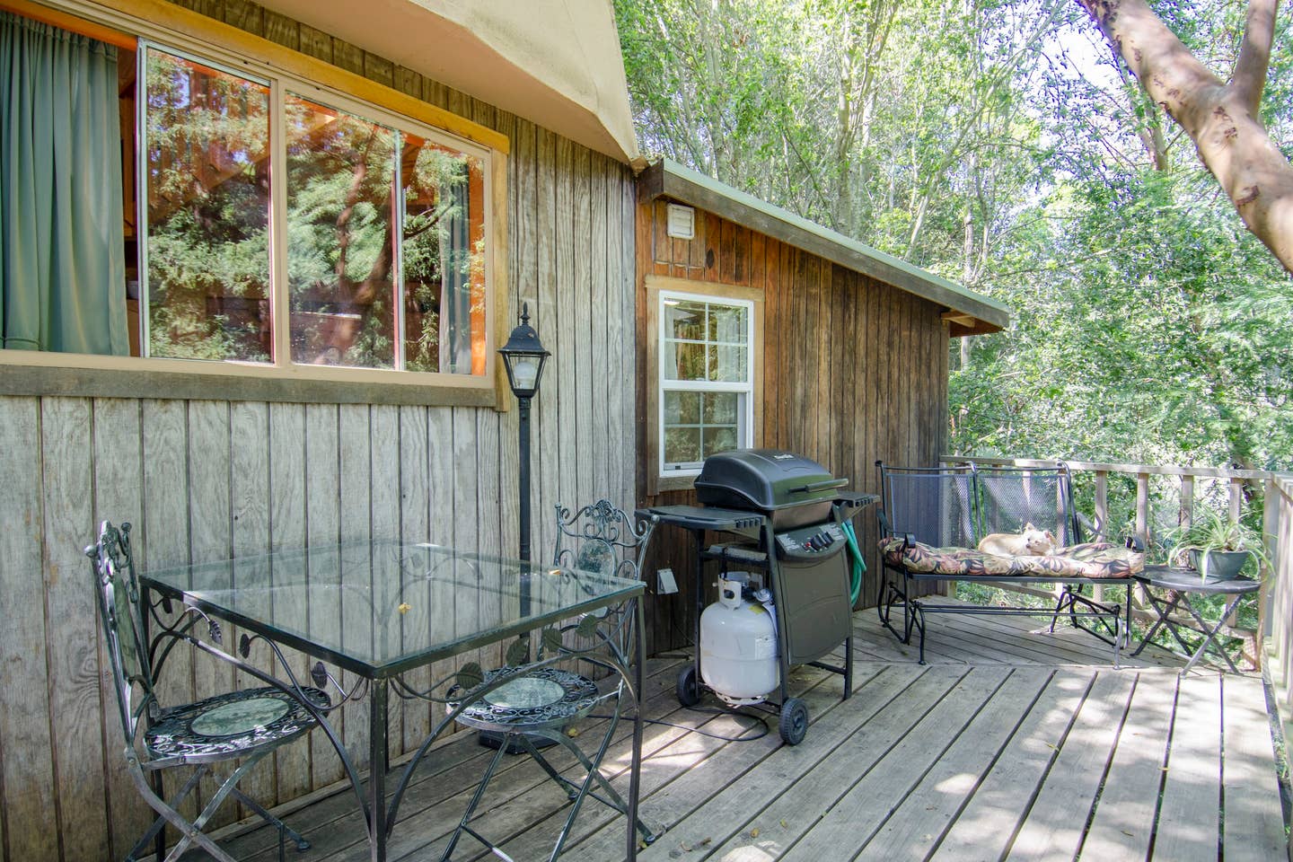 This 'Mushroom Dome Cabin' is the Most Popular Airbnb in the World Maxim