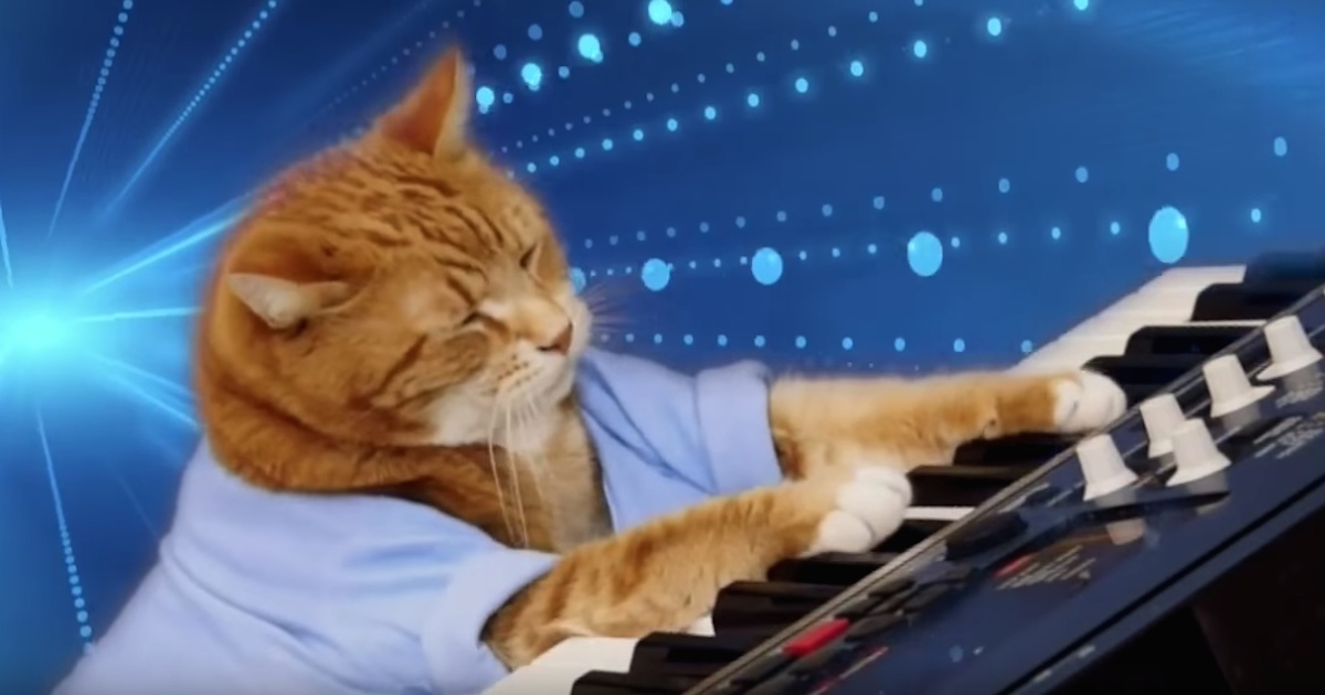 Internet Icon 'Keyboard Cat' is Dead, Remember Him With This Crazy