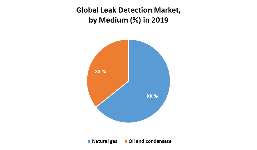 Global Leak Detection Market Industry Analysis and Forecast (20202026)