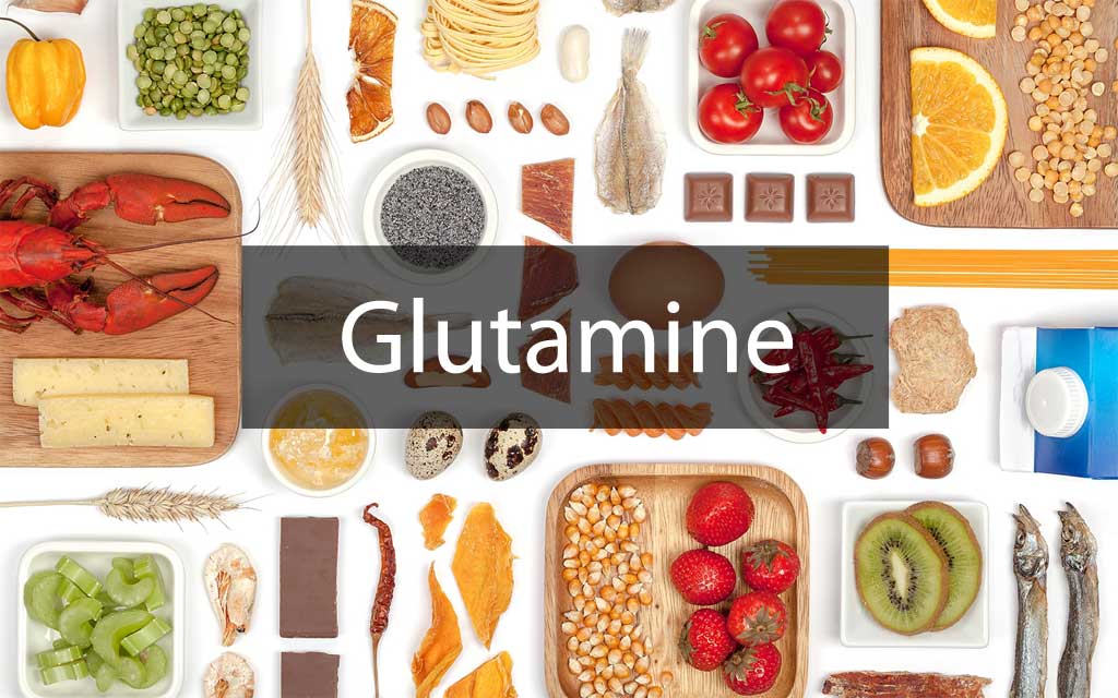 Guide de la Glutamine Rôles et Bienfaits Prise et Dosage Maxi Potion