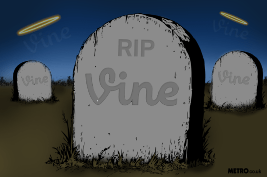 vine ditutup