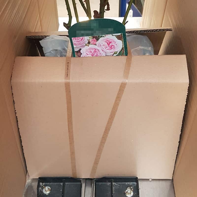 Paper Strapping Compostable & Recyclable Maxpack