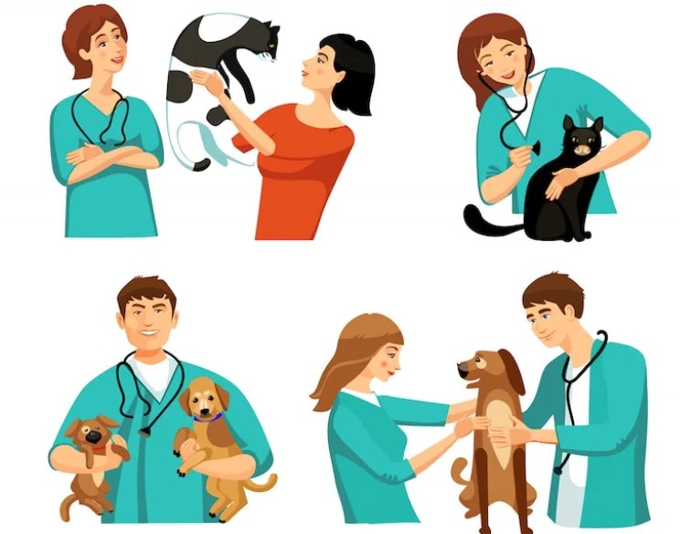Everything You Need To Know About Veterinary Hospitals. Max Vets