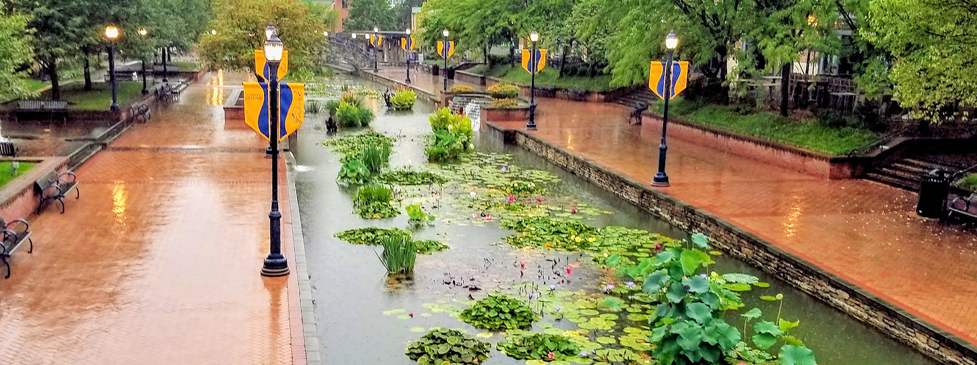 Maxwell Place Condominiums