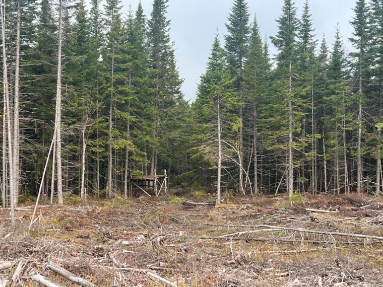 Terres à bois à vendre