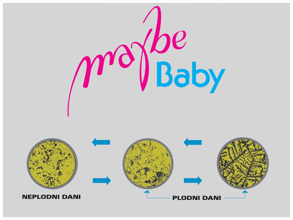 Maybe Baby™, odredite plodne i neplodne dane precizno i lako!
