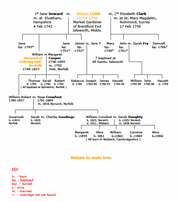 My Cobb(e) Family tree 2