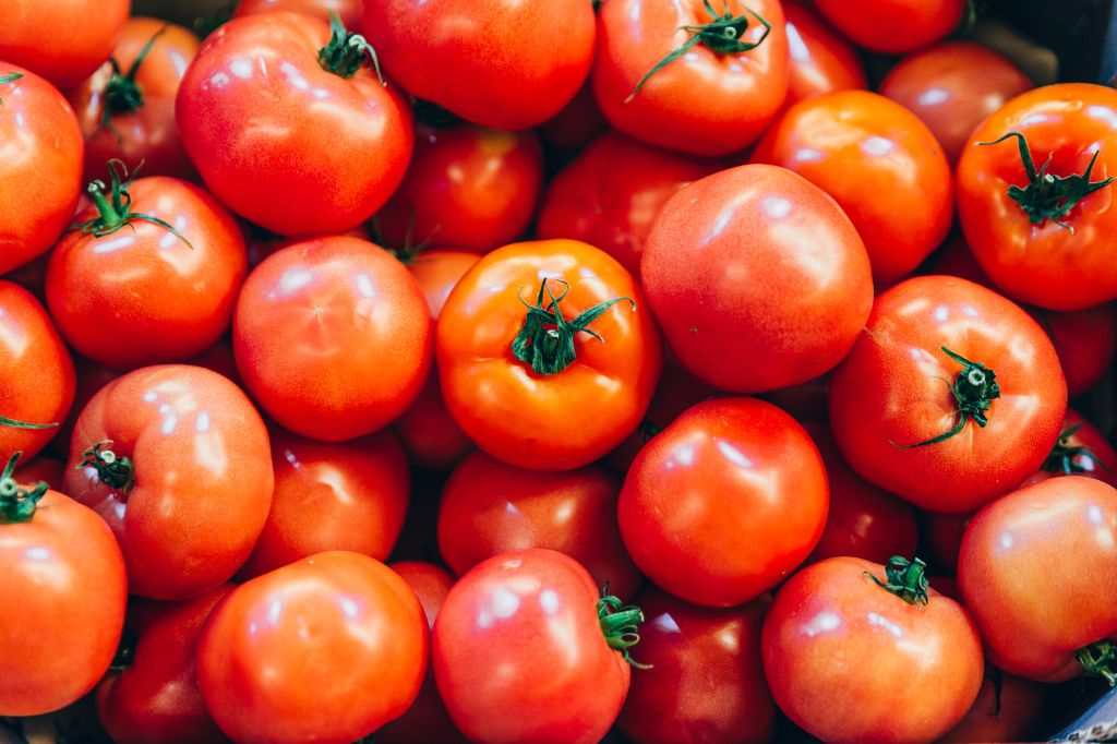 6 Reasons Why You Should Eat Tomatoes Every Day