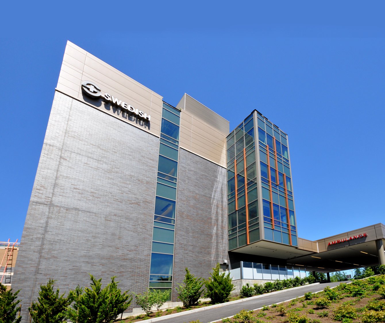 Swedish Issaquah Mazzetti