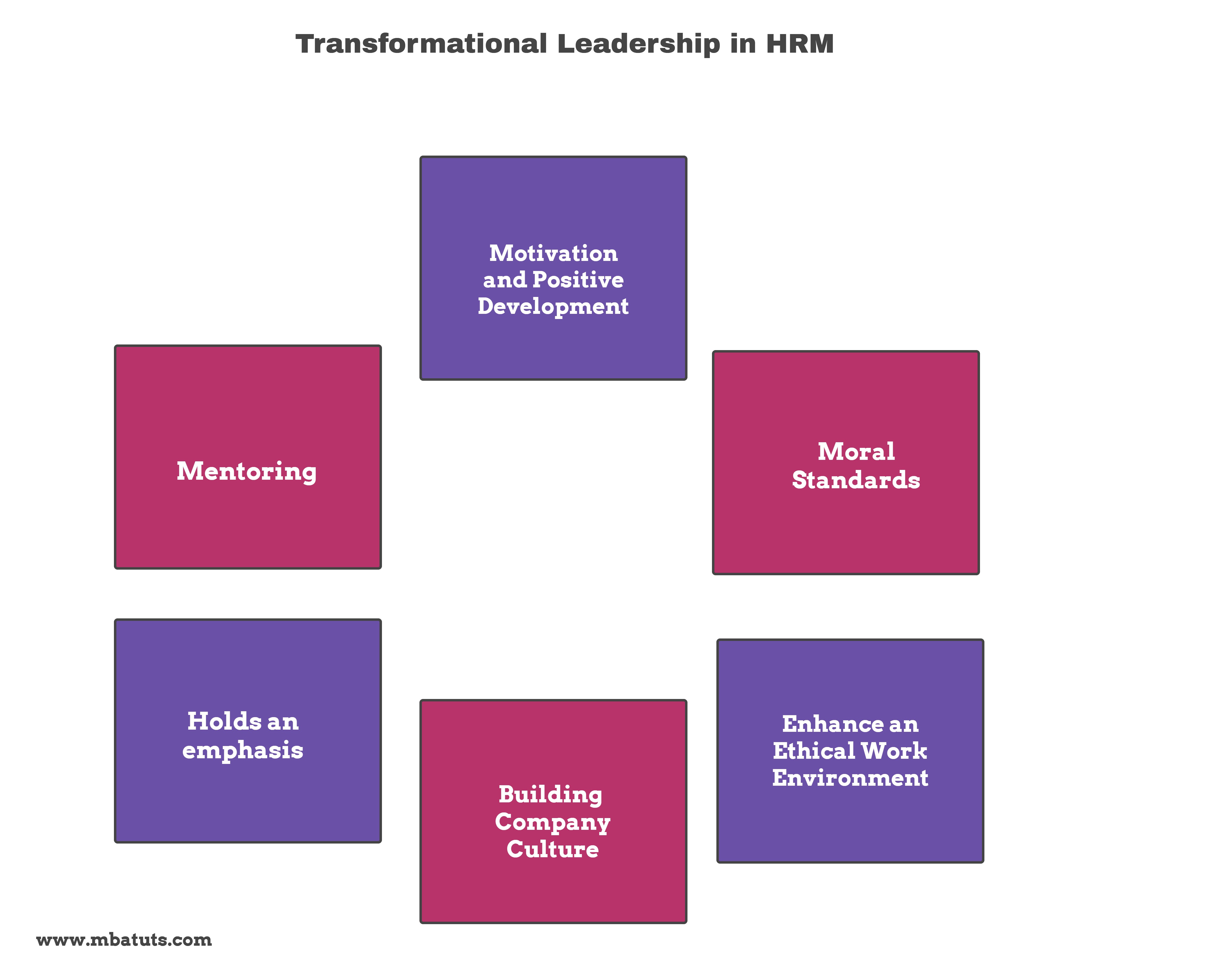 Transformational Leadership in HRM MBA TUTS