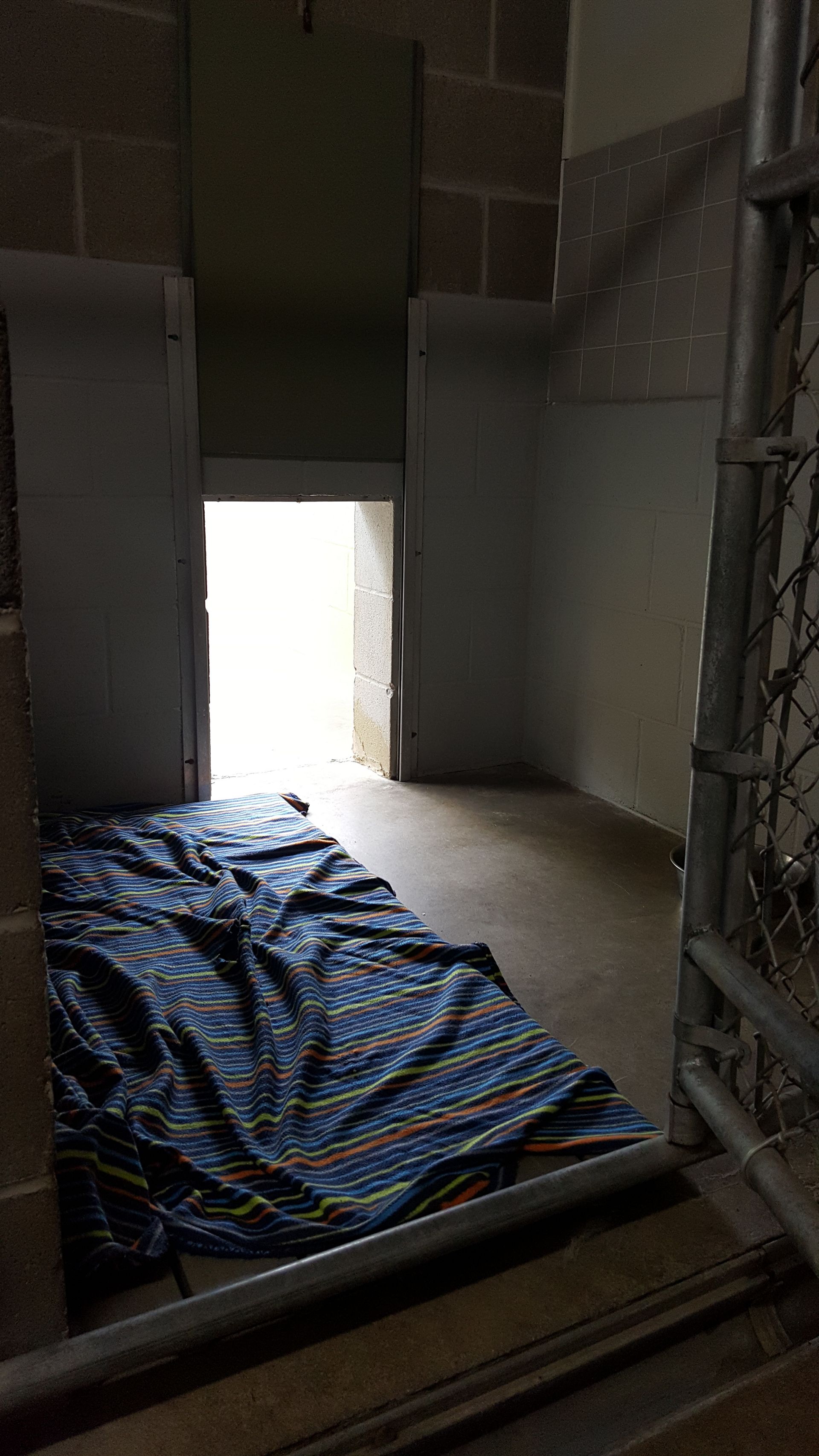 Boarding Man’s Best Friend Pet Resort