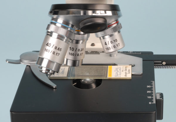 MIcroscope Activities, 7 The Substage Condenser