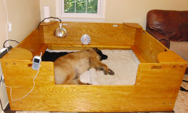 Whelping Box Construction Plans
