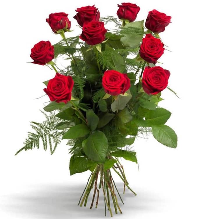 Send Roses Online Fresh Roses Delivery in Malta