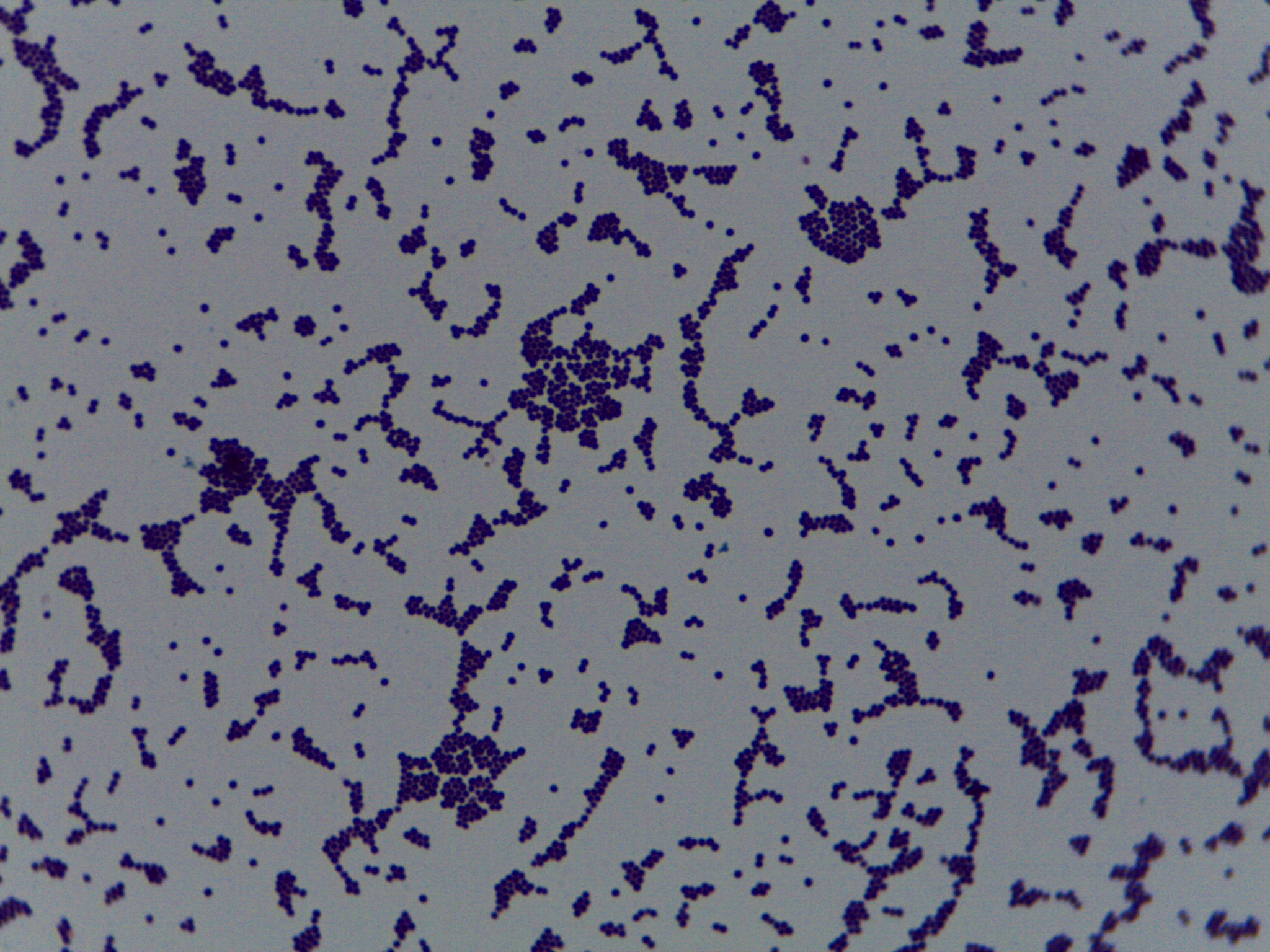 Biology McHenry County College