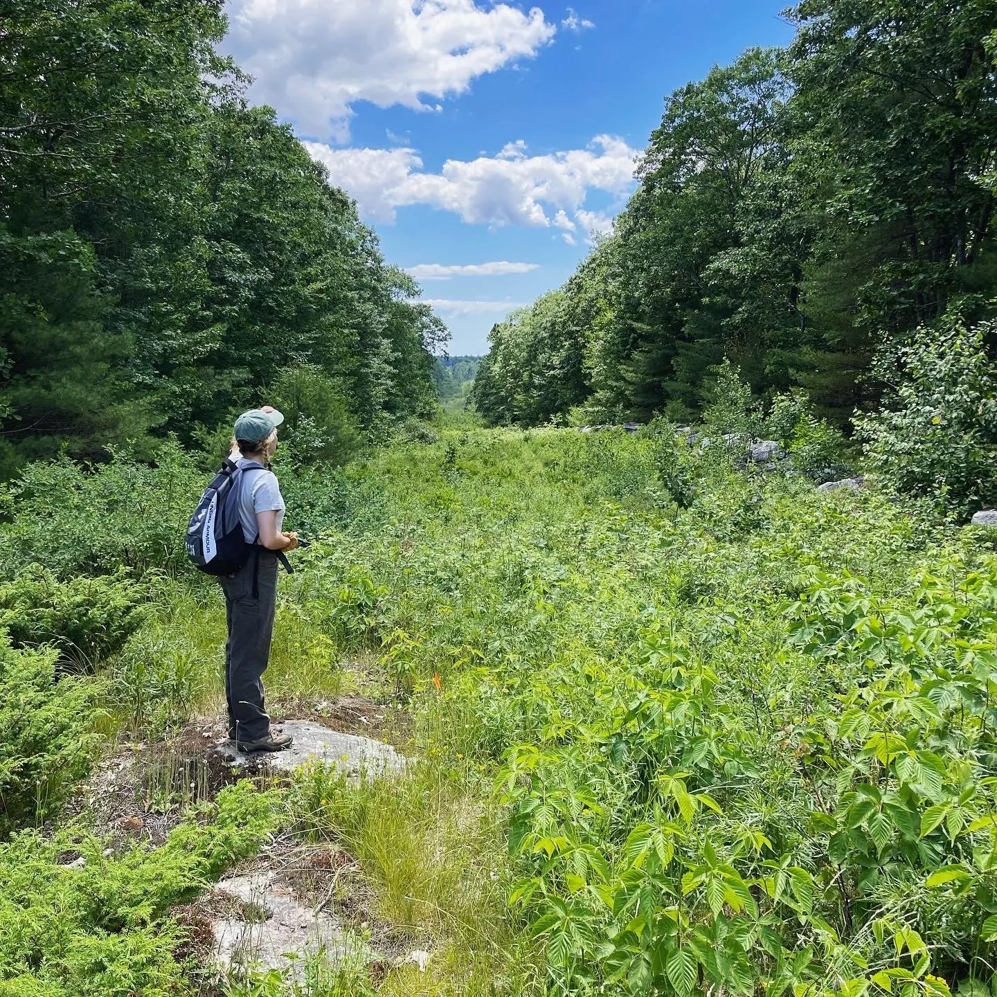 A Summer With Three Land Trusts Maine Coast Heritage Trust