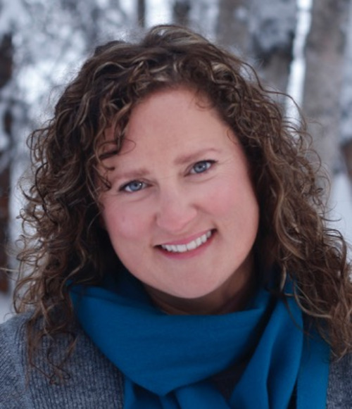 HOME McKinley View Real Estate Talkeetna (Alaska)