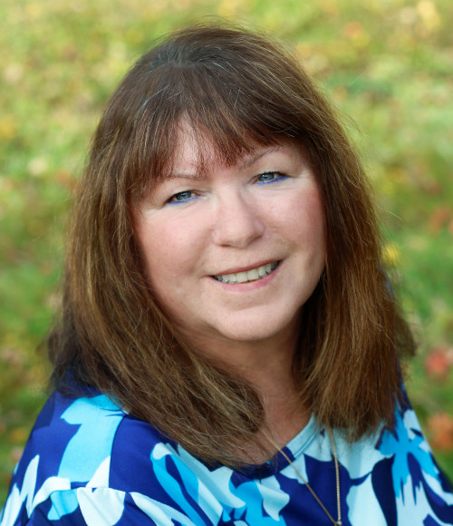 HOME McKinley View Real Estate Talkeetna (Alaska)