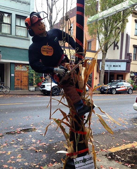 Tree Service NW Tree Care Beaverton OR