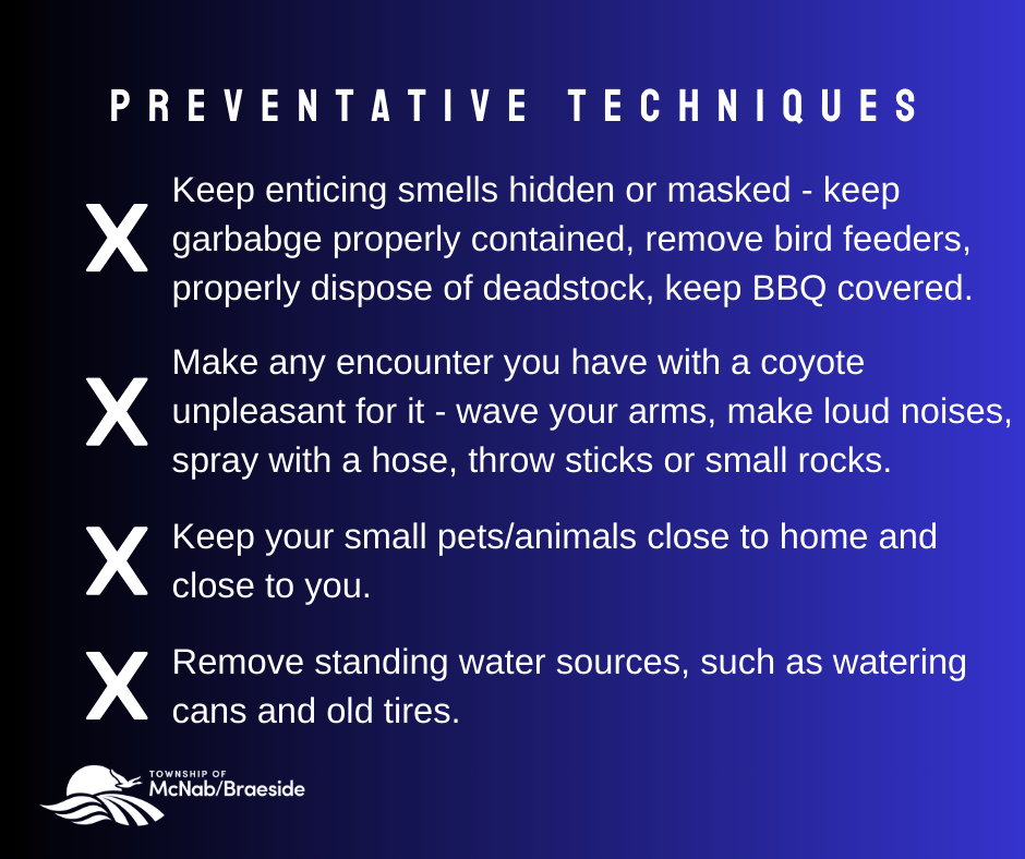 Coyotes in Your Community Township of McNab/Braeside