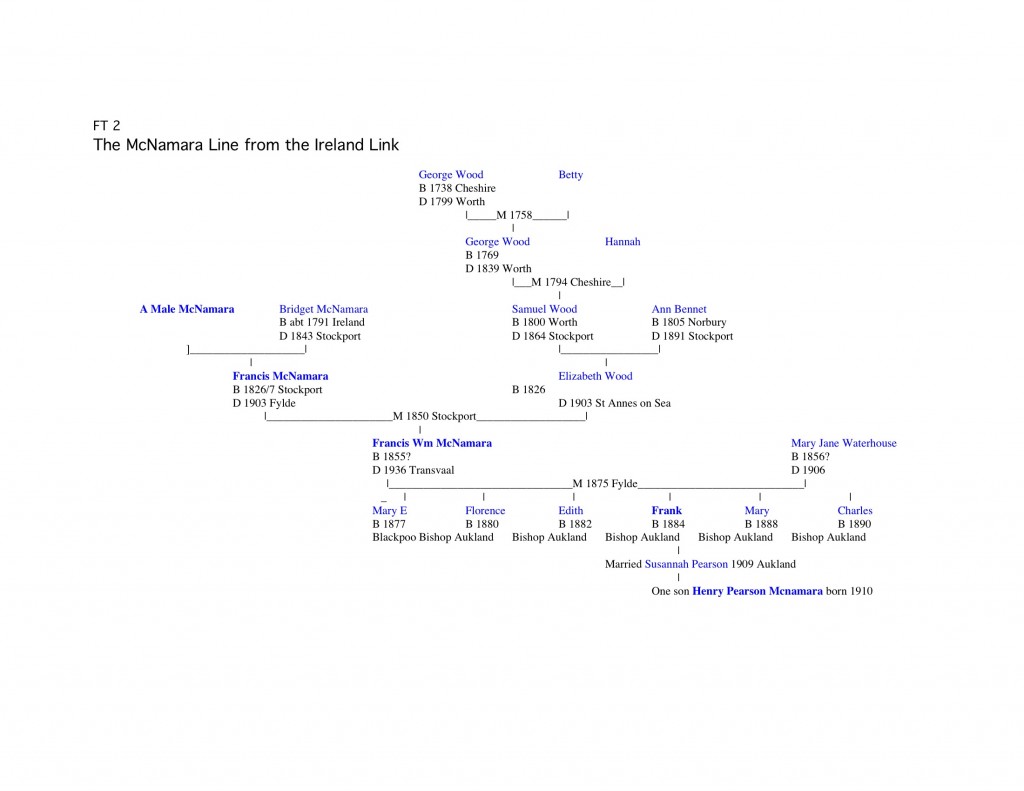 McNamara Family History Family Trees