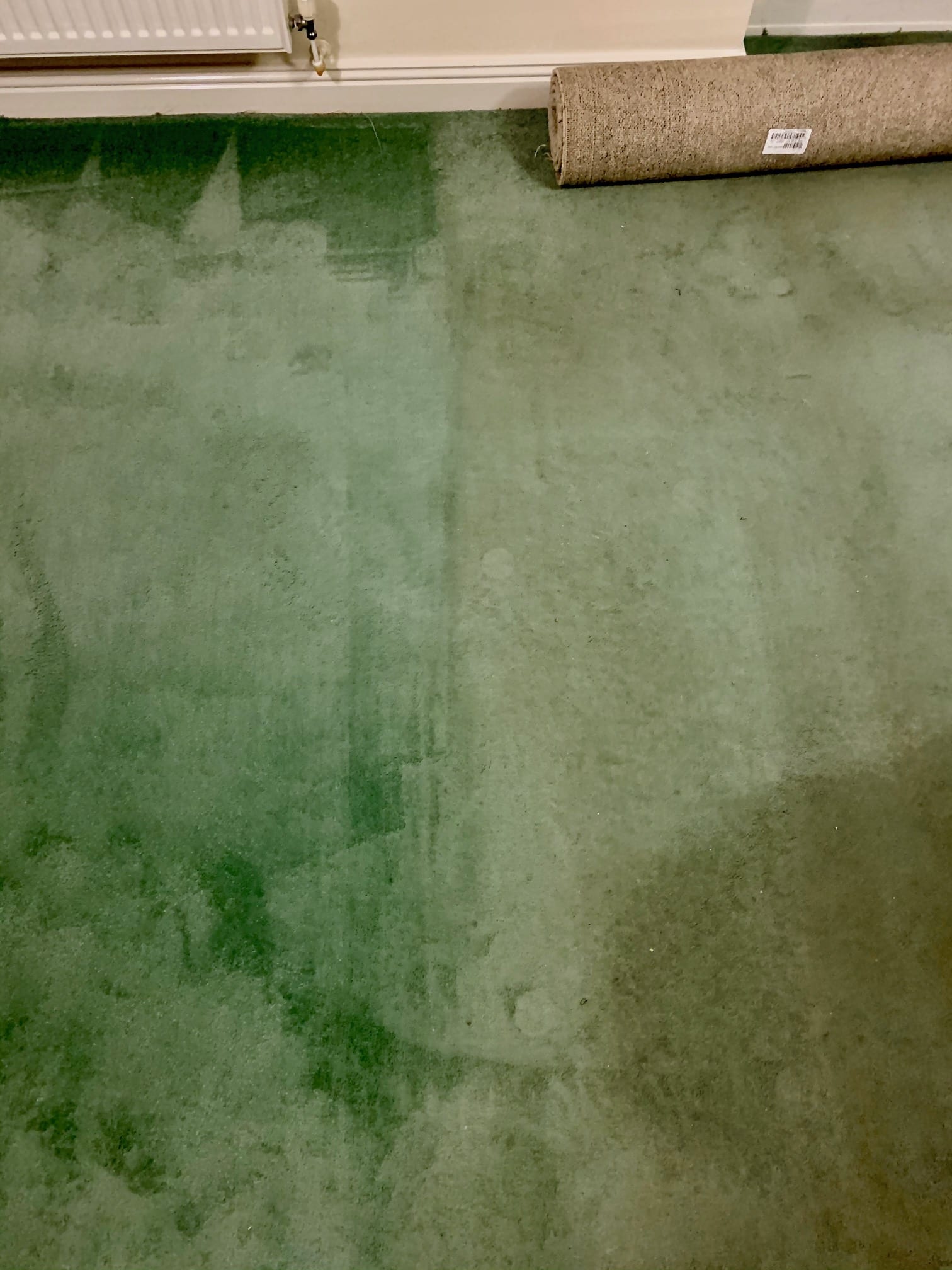 Professional Carpet Cleaning in Leicester & Midlands MCS