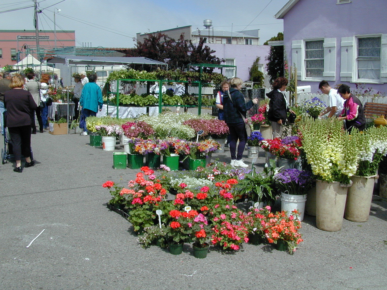 A Trip to the Flower Market