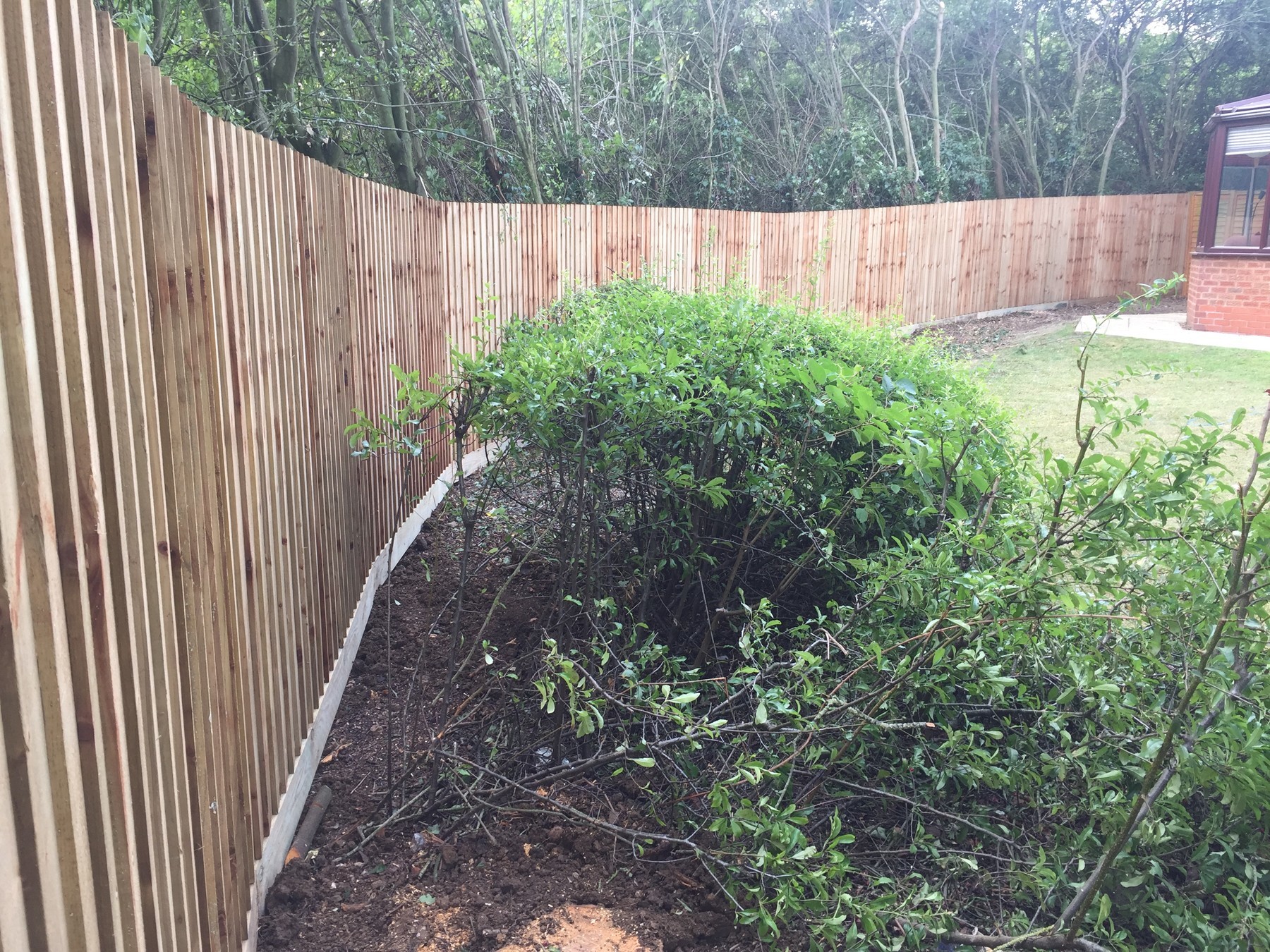 How Can I Make My Garden More Private With Garden Fencing
