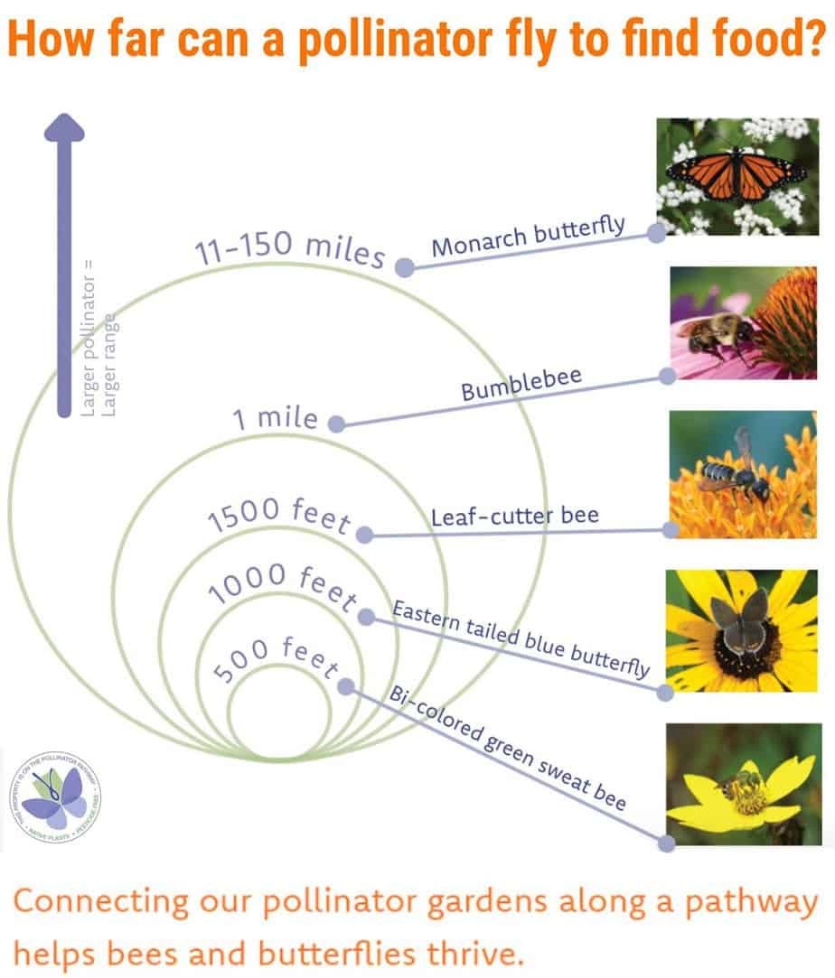 Beekeeping Science News and Notes February 2023 MARYLAND STATE