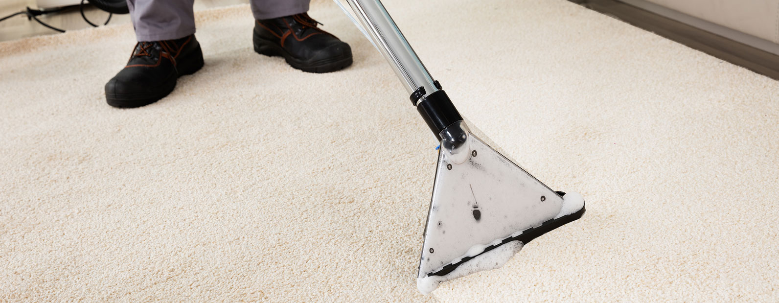 Carpet Cleaning MD Building Services, NYC