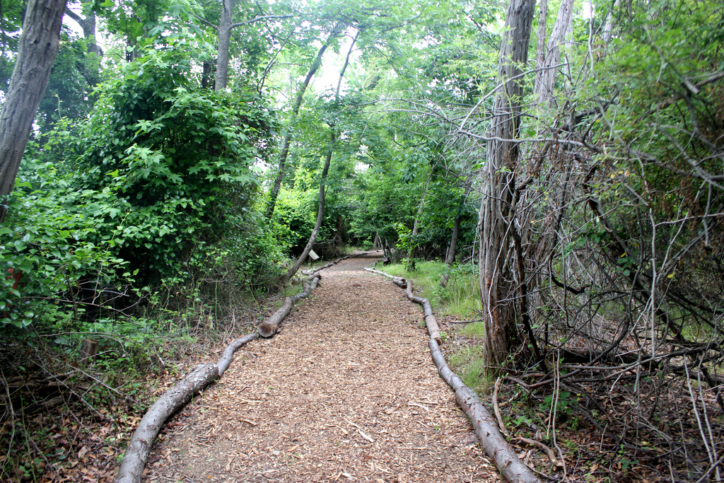 Sandy Point State Park Map Fepitchon