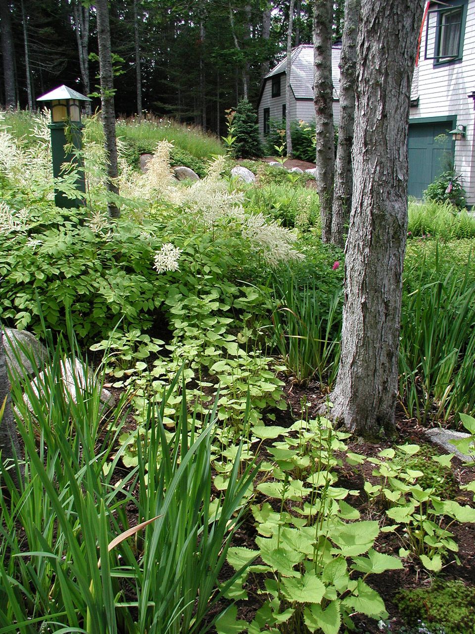 Landscaping Services Gallery MDI Grows Landcaping Services