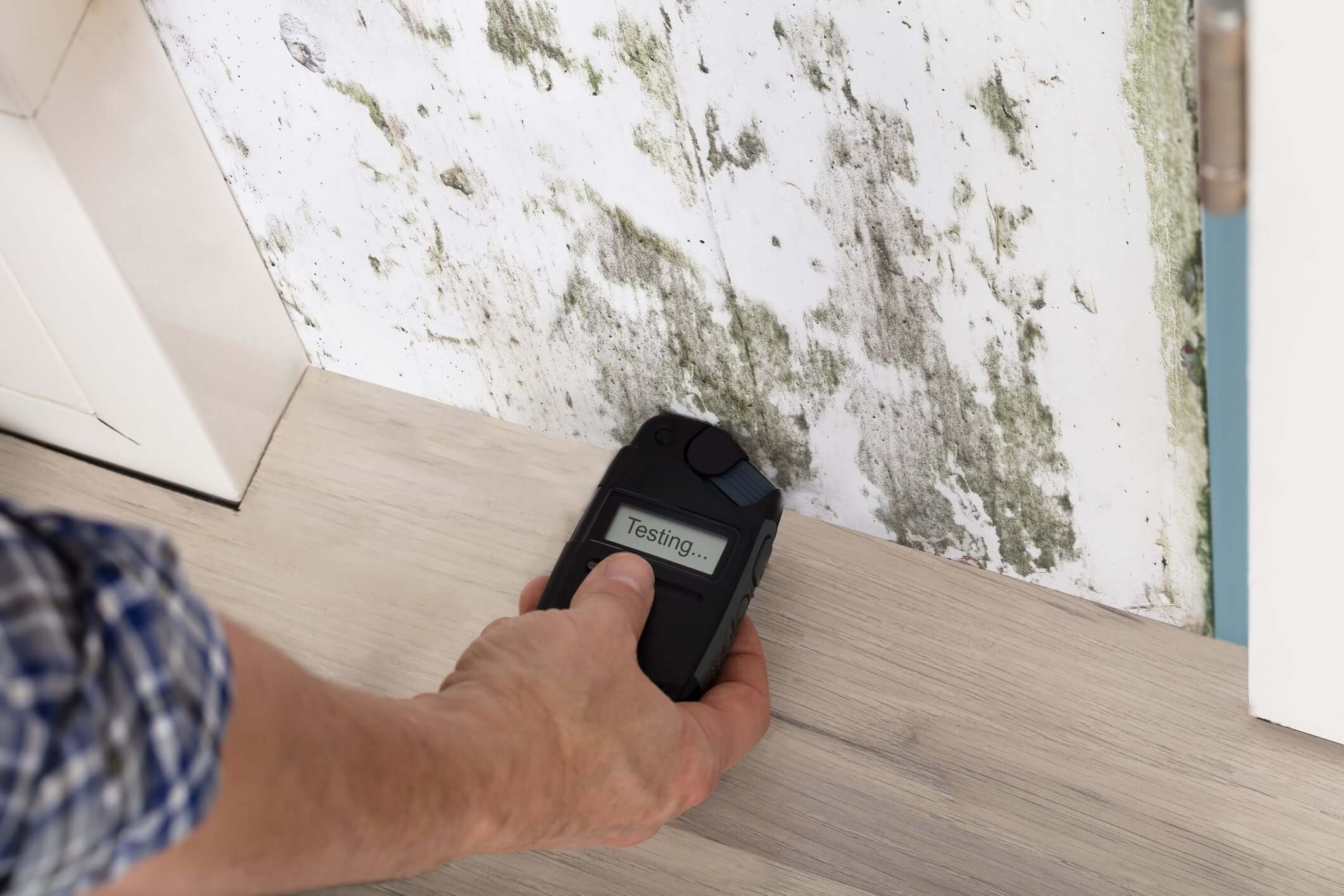 Everything You Need To Know About Home Inspections MD Mold Testing