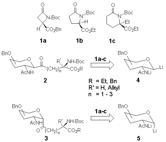 Synthesis of CGlycosylated Amino Acids Suitable Building Blocks for