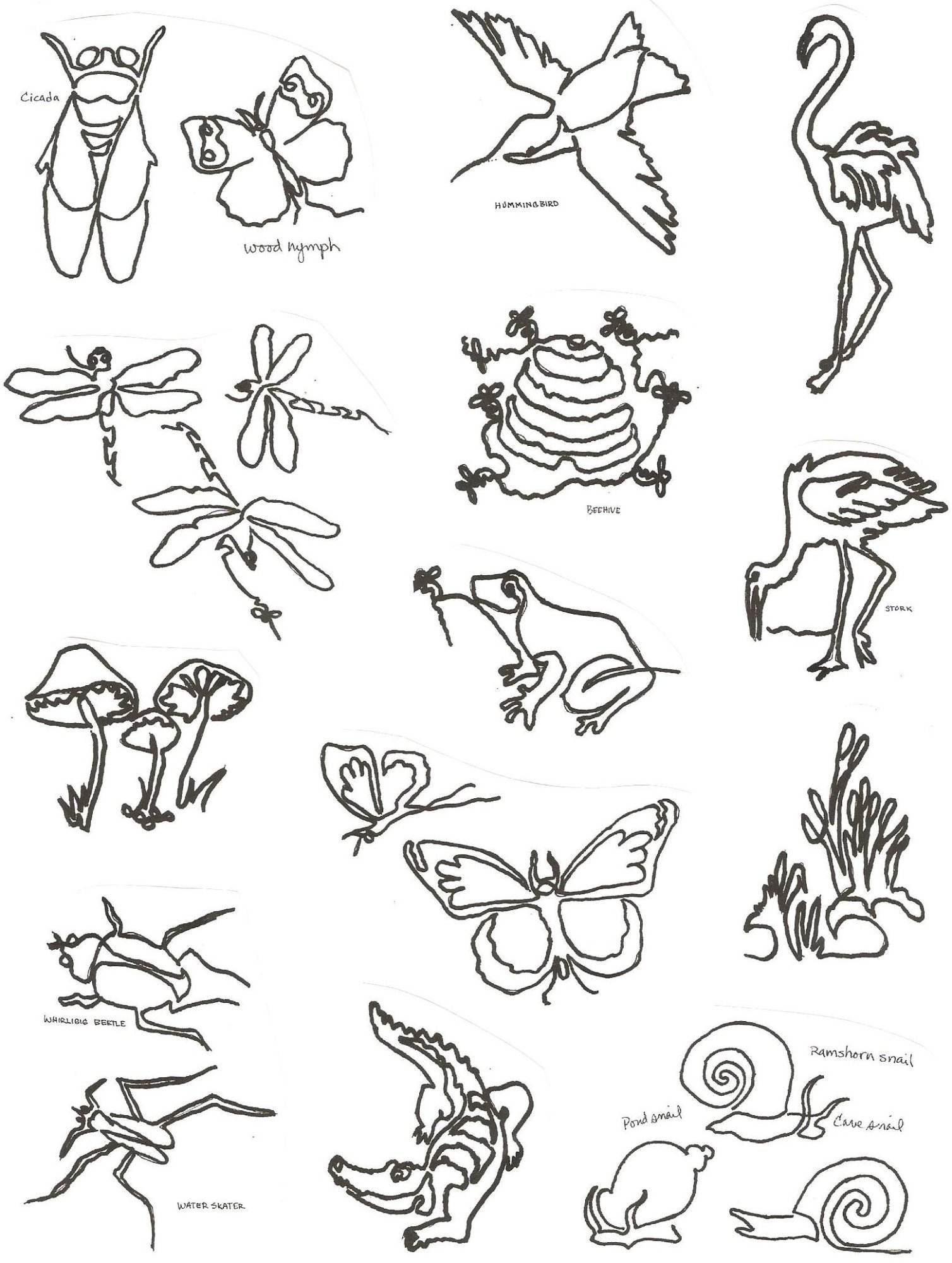 Swamp Critters MeadowLyon Designs