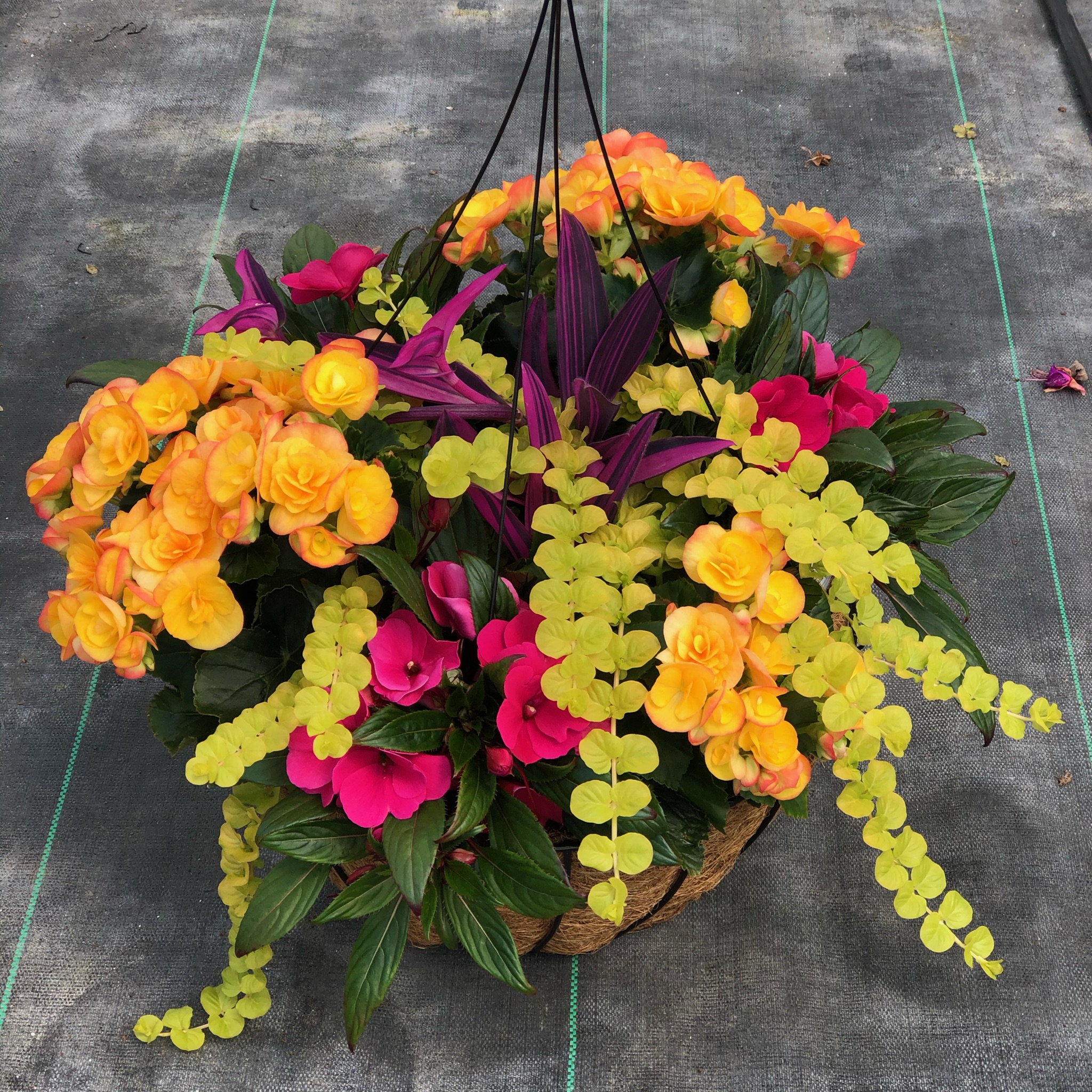 Basket Combinations Combination Baskets from Meadowridge, Inc.