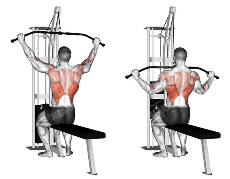 BEGINNER WORKOUT ROUTINES Meanmuscles