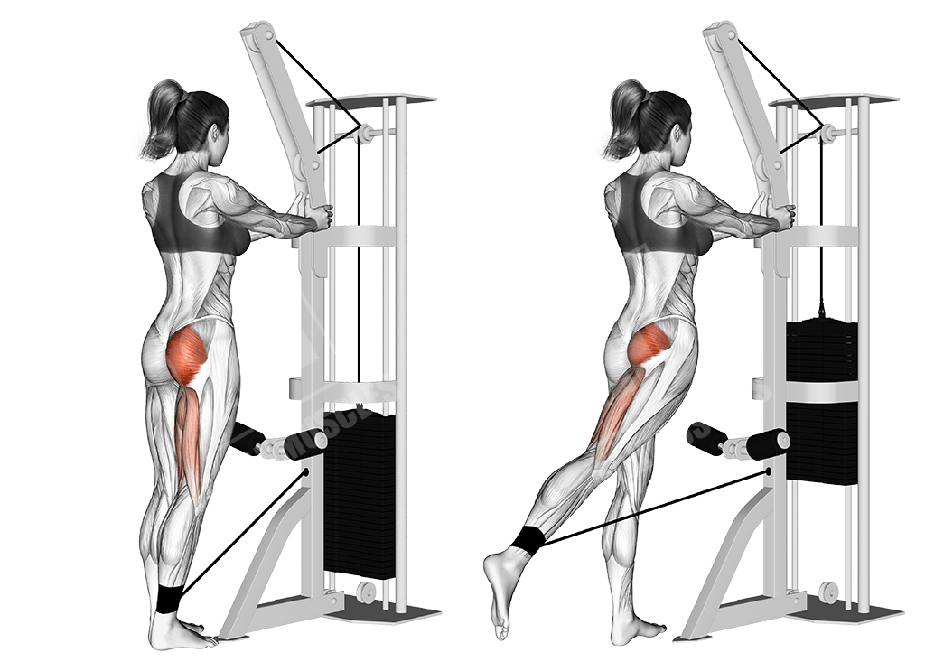 UniLateral Focused Glute Workout Meanmuscles