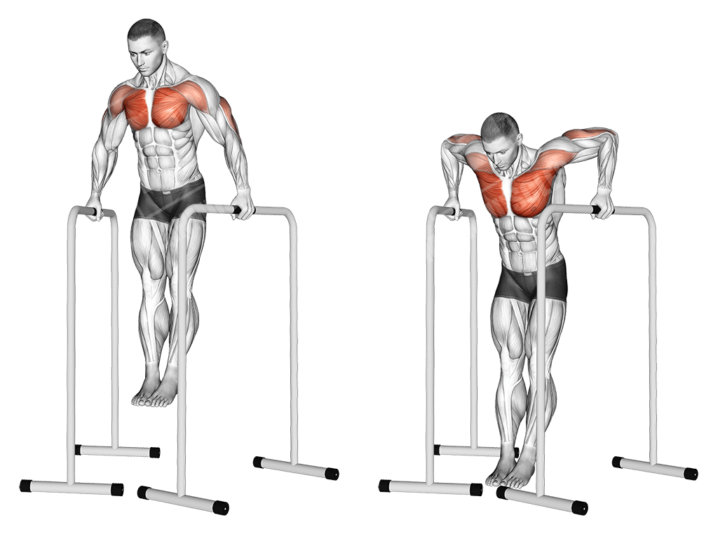 Lower Chest Blaster Meanmuscles