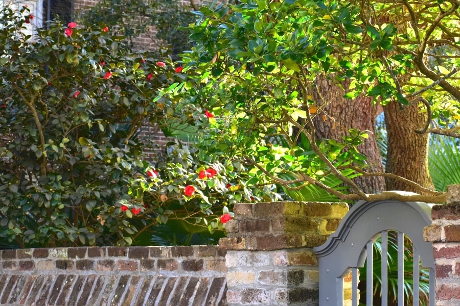 When’s the Best Time to Visit Charleston, SC A Seasonal Guide Means