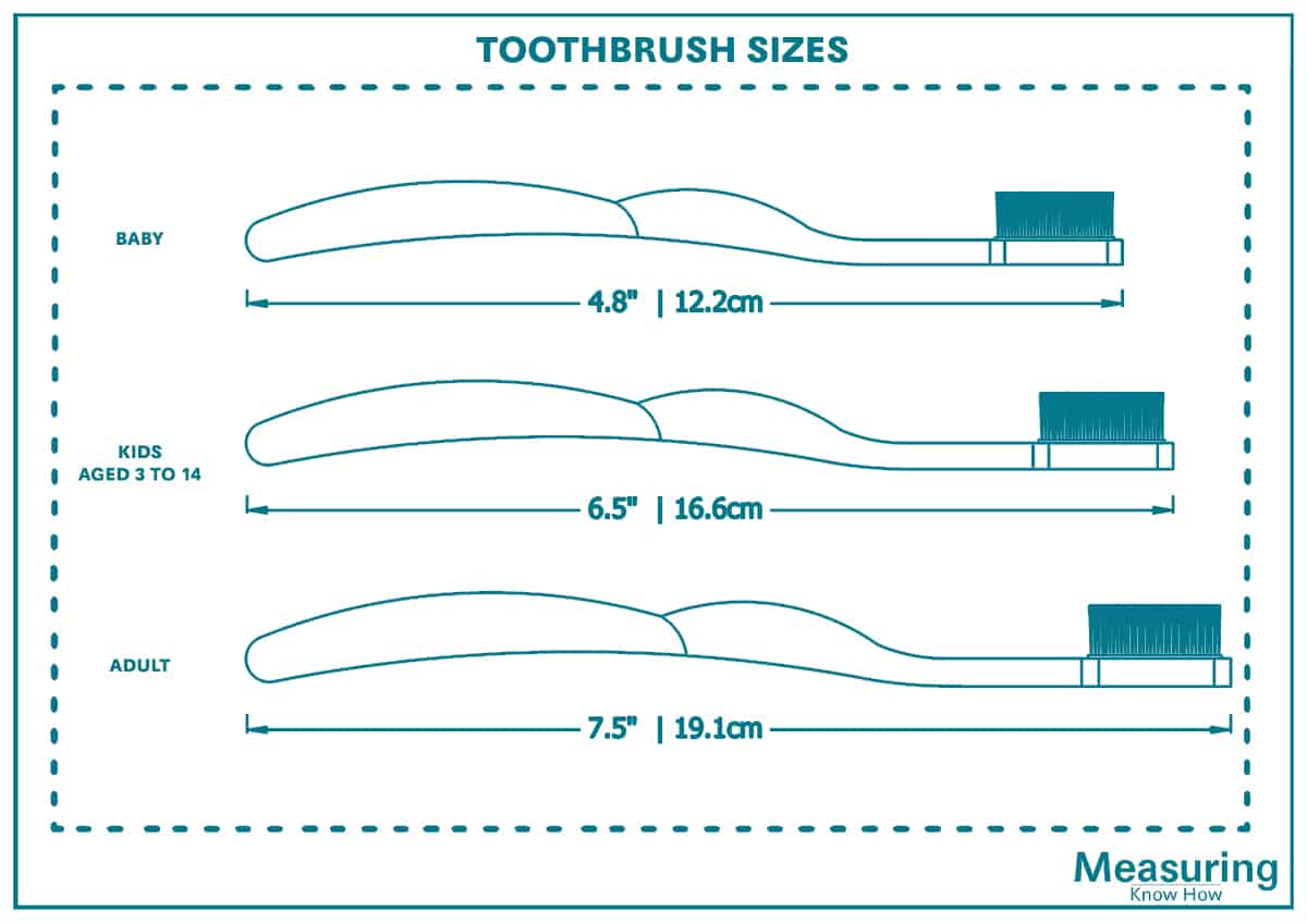 How Big is a Toothbrush? MeasuringKnowHow
