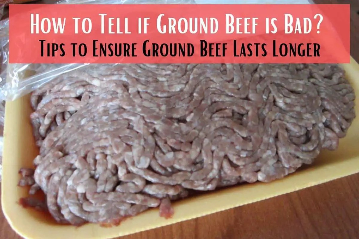 How to Tell if Ground Beef is Bad? Tips to Ensure Ground Beef Lasts