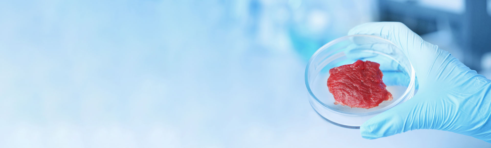 The Company Meat & More Select LTD