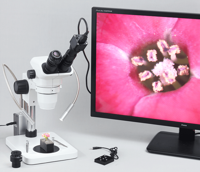 Microscope Adapter CMount HDMI Camera